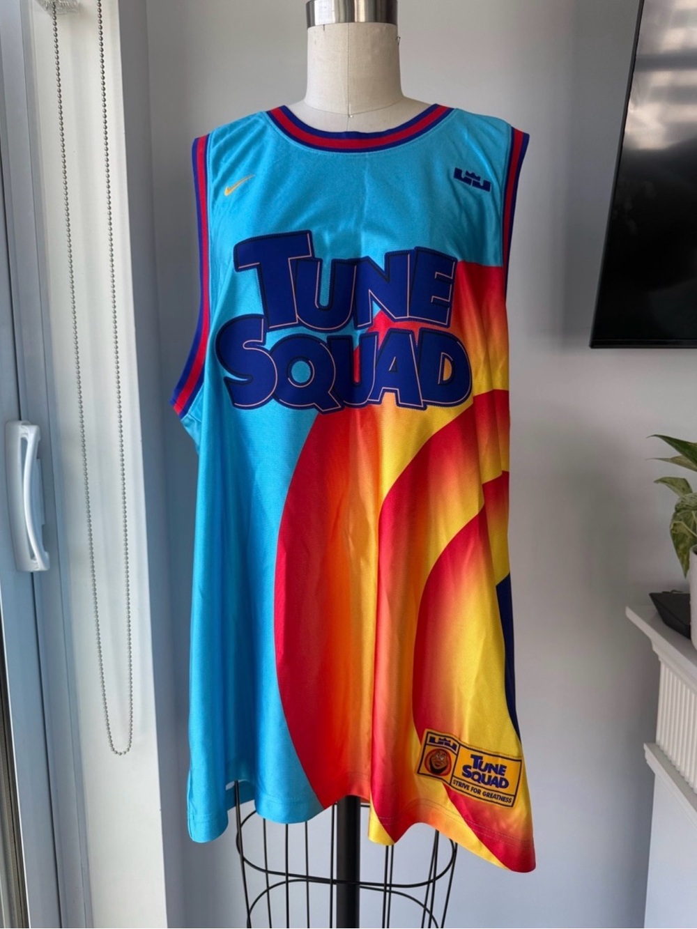 Nike LeBron James Space Jam Tune Squad basketball jersey
